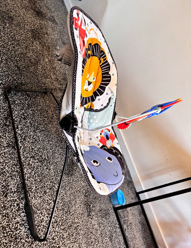 Fisher price baby bouncer - baby,