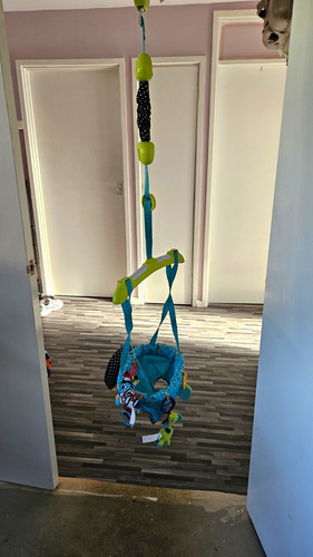 Bright starts safari door - starts,
