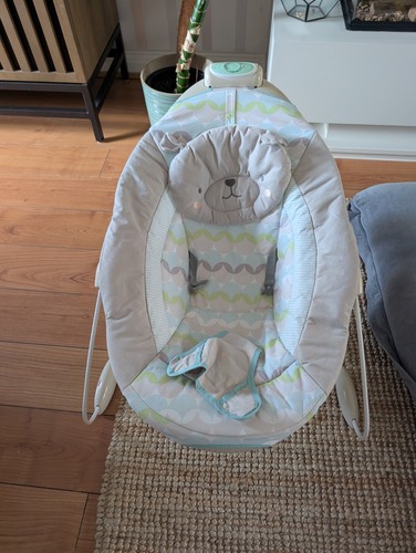 Ingenuity vibrating baby